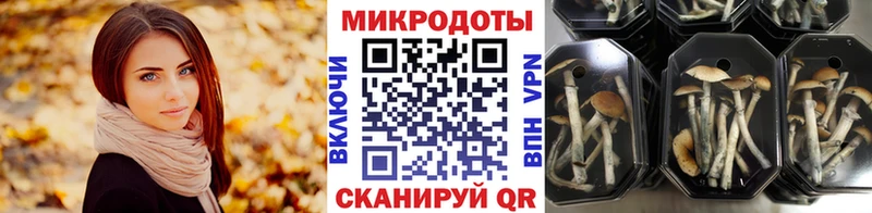 нарко площадка как зайти  Коряжма  Псилоцибиновые грибы ЛСД 